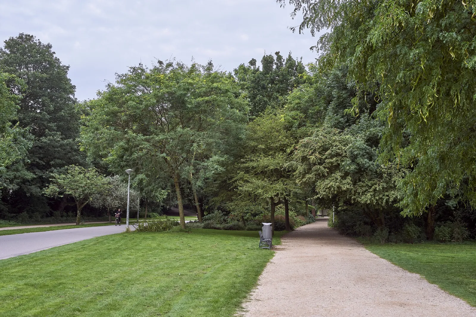 Sendero entre árboles en el Vondelpark