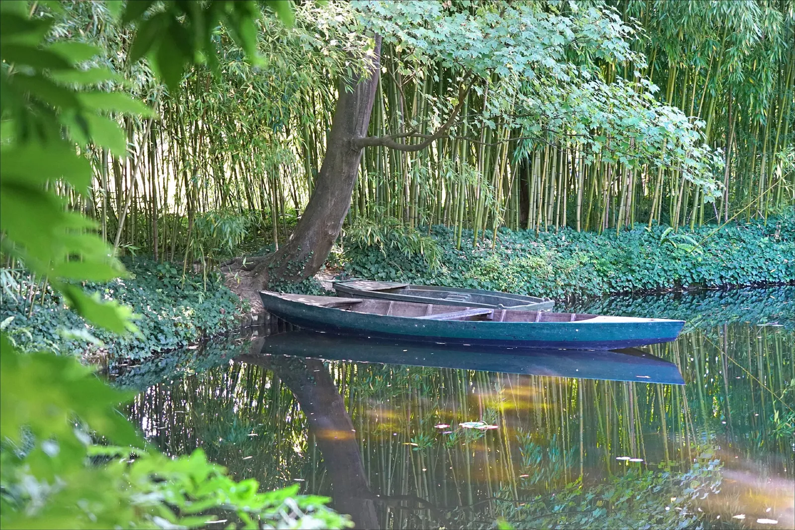 Estanque de nenúfares y puente japonés del jardín de agua de Claude Monet en Giverny