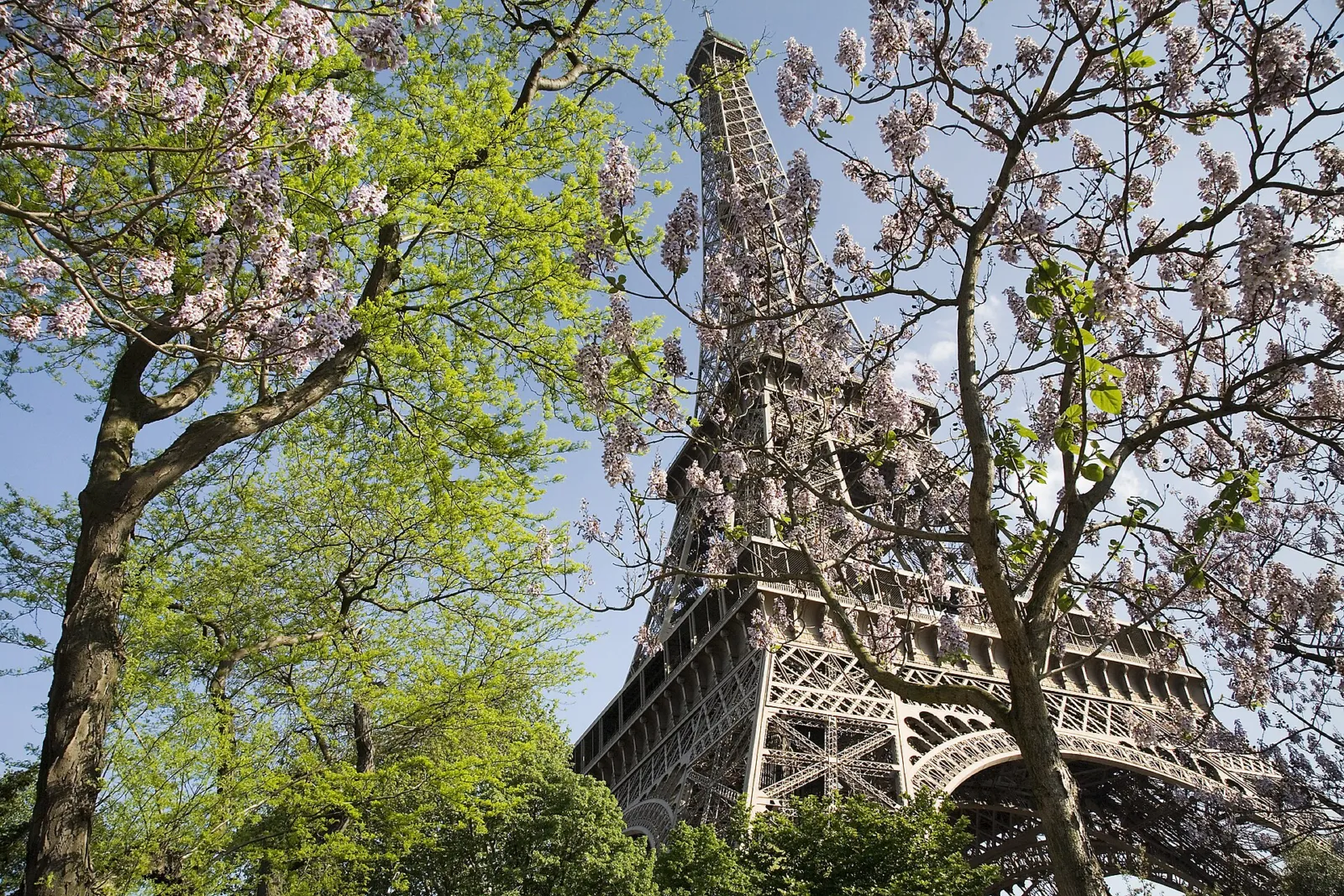 La Torre Eiffel rodeada de árboles verdes en primavera, uno de los mejores momentos para visitar París