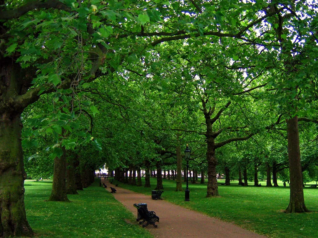 Camino que cruza el Parque Verde de Londres
