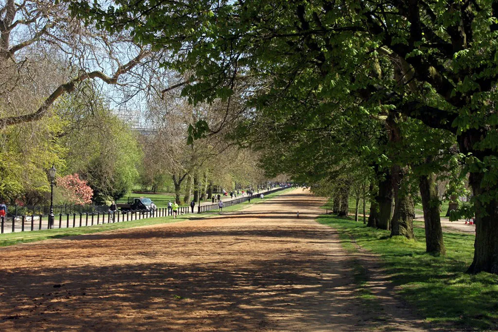 Foto de uno de los caminos que recorren Hyde Park
