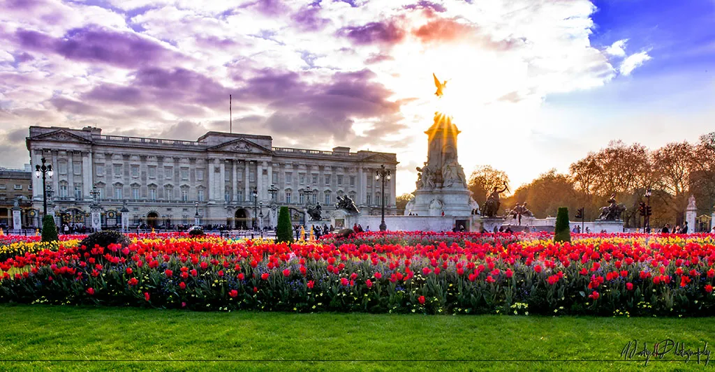 Foto de unas flores y el Palacio de Buckingham detrás