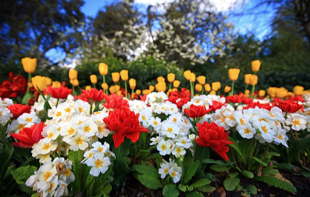 Flores en el Regent's Park de Londres