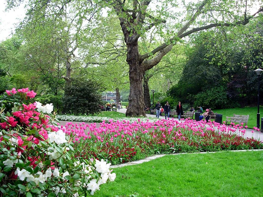 Foto de Flores en St James Park