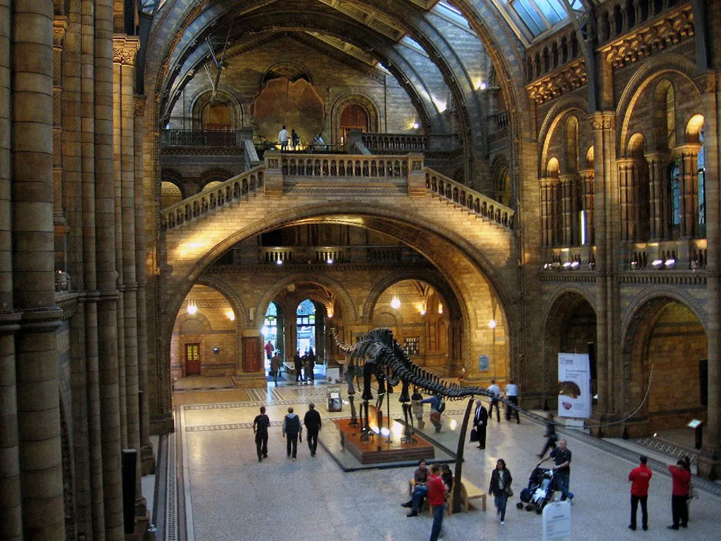 Interior del Museo Natural History Museum de Londres