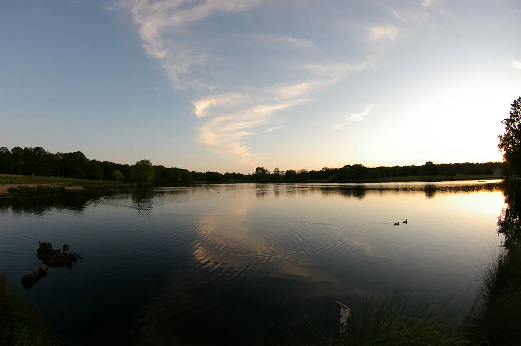 Foto del Lago que se encuentra en el Parque Richmond
