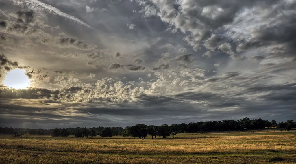 Foto al atardecer en Richmond Park en Londres