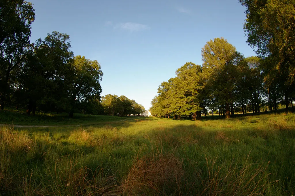 Foto del Parque Richmond Park de Londres