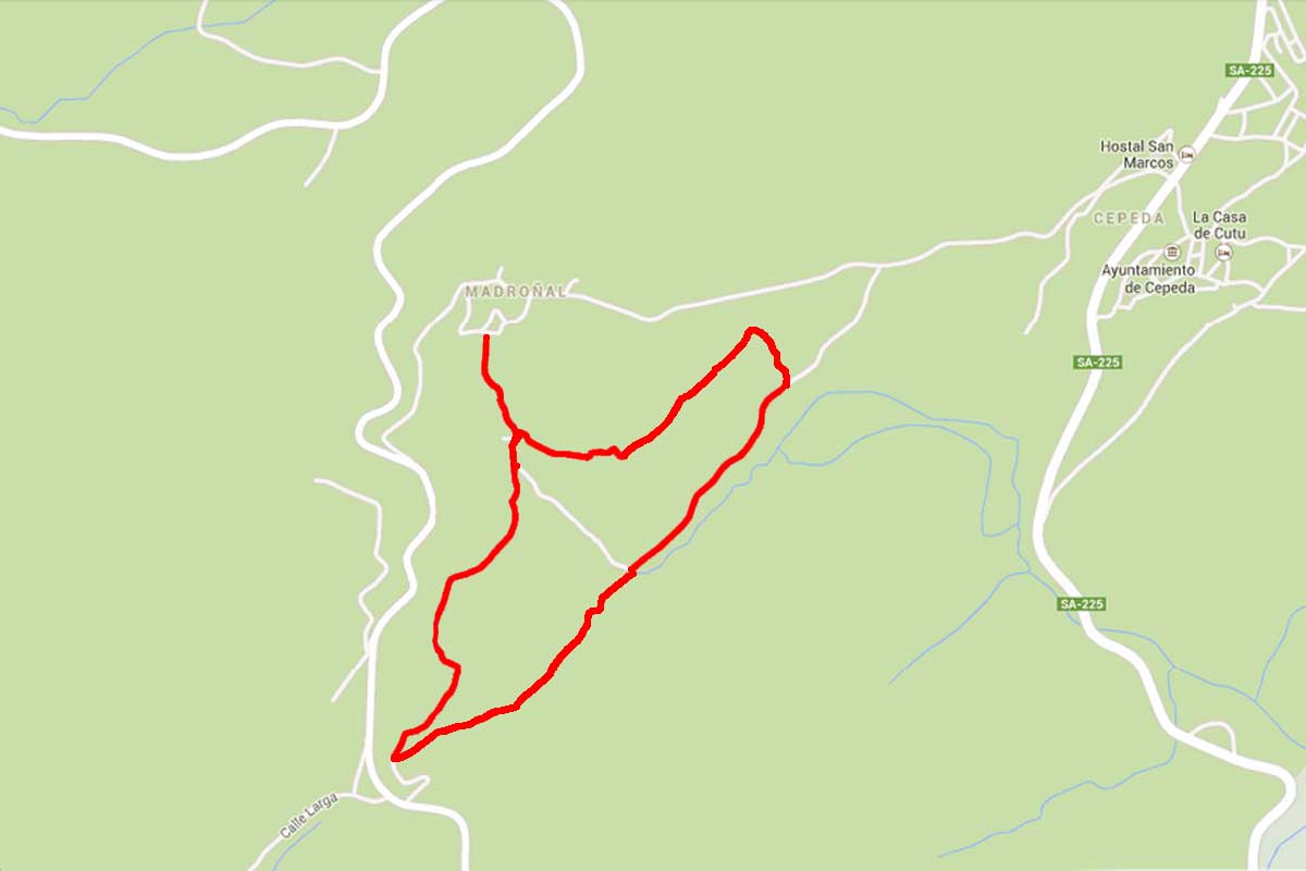 Mapa del Camino Circular del Madroñal