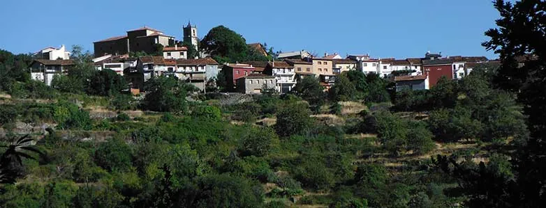 Monforte de la sierra