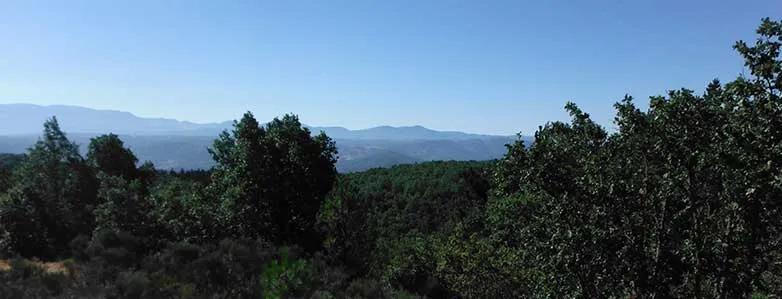 De Cepada a la Herguijuela