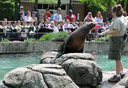 Foto de Brooklyn Prospect Zoo de Nueva York