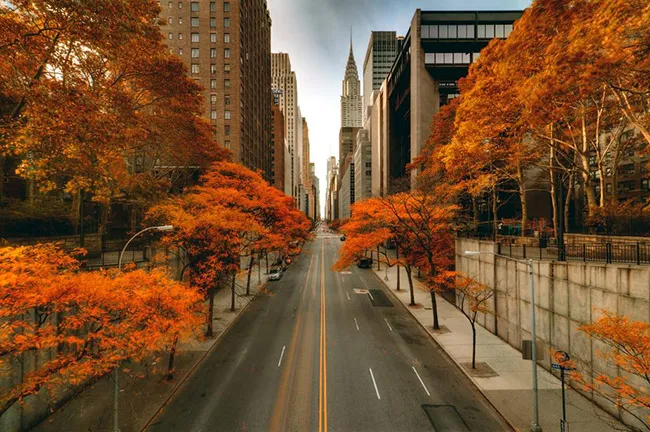 Foto de Nueva York en otoño